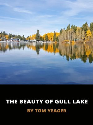 cover image of The Beauty of Gull Lake
